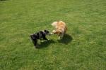 merly und sky 24